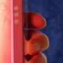 Samsung Galaxy Tablet S10 lite Red Image 5