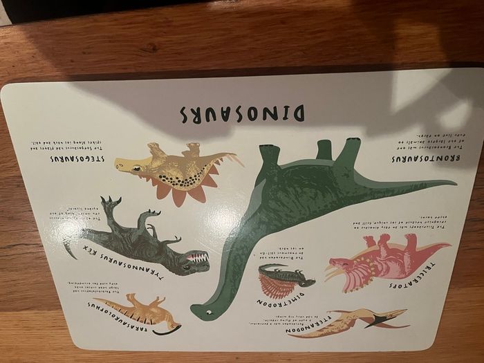 Dinosaur Table mat