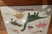 Dinosaur Table mat