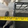 Large Folding Dog Crate Image 4