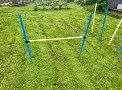 Agility equipment dog