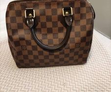 Louis Vuitton Speedy 25