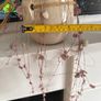 Trailing "String of hearts" real plant Image 4