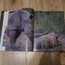 wildlife book Image 3