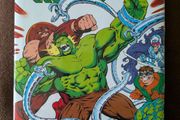 Incredible Hulk by Peter David Omnibus Vol 3