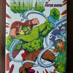 Incredible Hulk by Peter David Omnibus Vol 3