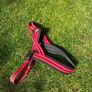 Medium Dog Harness Image 3