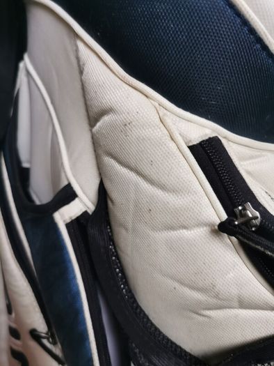 ping golf bag