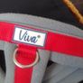 Dog harness Image 2