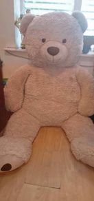 big teddy