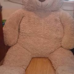 big teddy