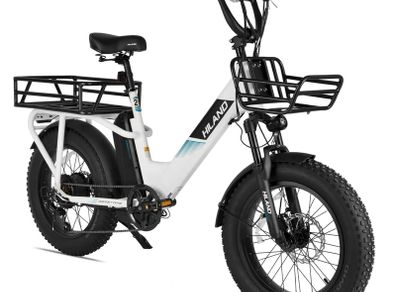 Joykie EHD303 Electric Cargo Bike