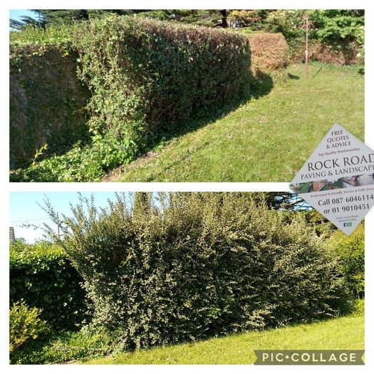 Garden maintenance