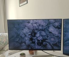Dell P2722H 27 Inch Full HD (1920x1080) Monitor