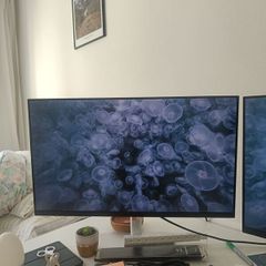 Dell P2722H 27 Inch Full HD (1920x1080) Monitor