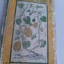 Vintage Suttons seeds book and unopened seeds from 1976 Image 8