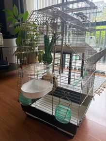 bird cage - for small birds
