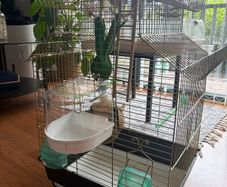 bird cage - for small birds