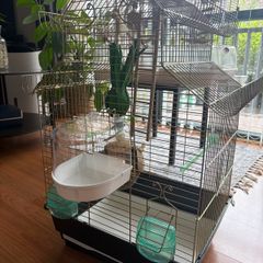 bird cage - for small birds