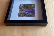 Picture - Janet Neville- Thomas