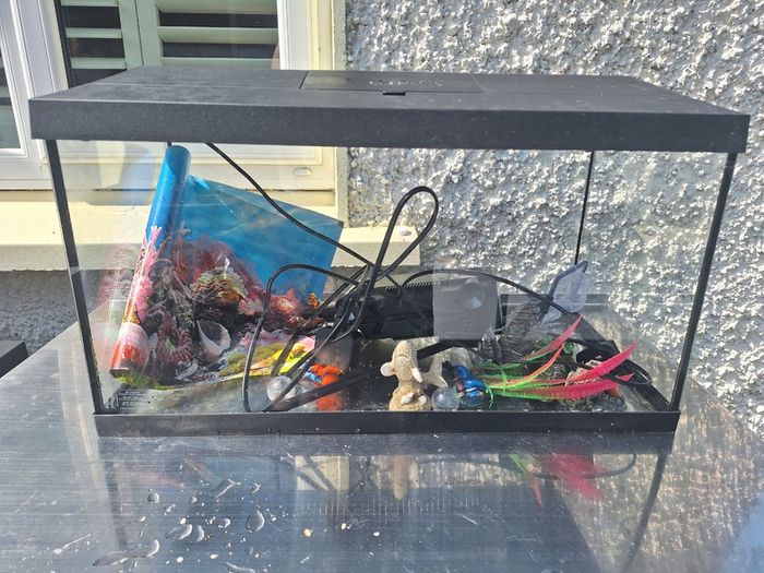 Free Fish Tank