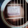 takamine g series left handed Image 9