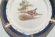 Decorative Plates. (Three)