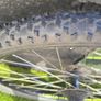 wheel Image 3