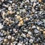 Pebble Image 4