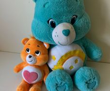 bear