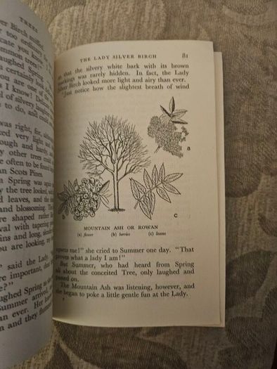 Trees by Margaret Kent, published in 1948 as part of The Children's Nature Series. [1]  Title: Trees  Author: Margaret Kent  Publisher: George G. Harrap  Date: 1948  First edition paperback in good condition.  See photos for same.