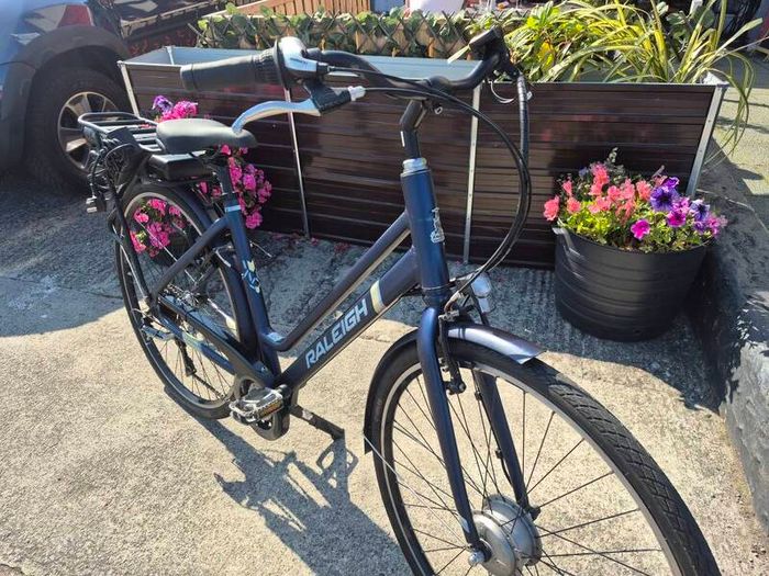 Raleigh Electric Bike