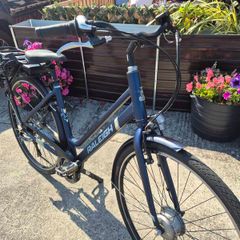 Raleigh Electric Bike