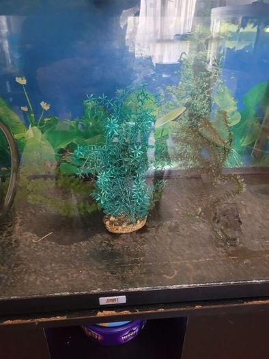 180 litre