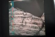 Fergal Sharkey Vinyl