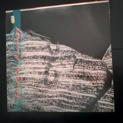 Fergal Sharkey Vinyl