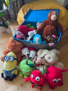 20+Plush Toys