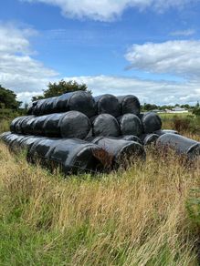 Bales of silage