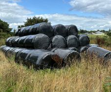 Bales of silage