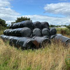 Bales of silage