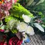 flowers Image 6