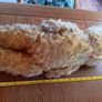 Vintage Crolly bear. Image 6