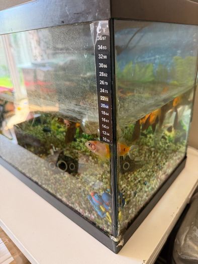 fish tank only