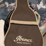 Ibanez Image 4