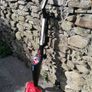 Vileda steam mop Image 2