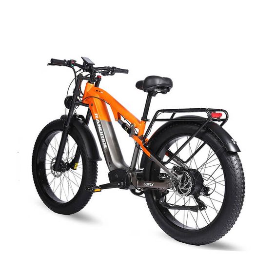 Randride YX80 Electric Bike