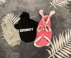 dog cat clothes