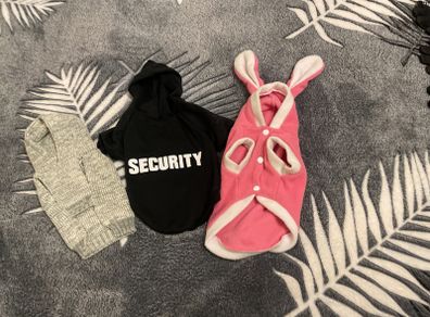 dog cat clothes