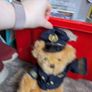 airline bears eur 10 each Image 7