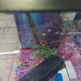 fish tank Image 2